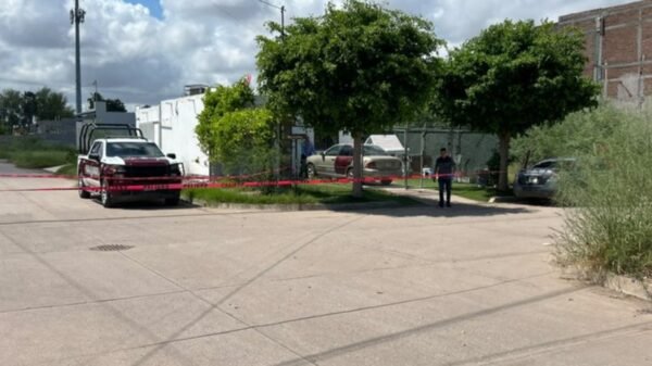 Asesinan a mujer embarazada en Los Mochis; su bebé tampoco sobrevivió