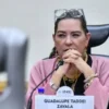 Guadalupe Taddei anuncia su renuncia a la presidencia del INE; la presentará este lunes