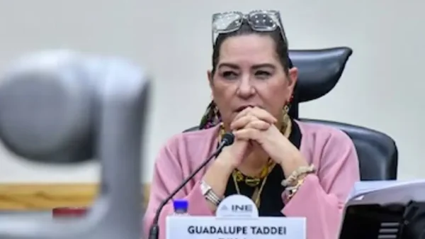 Guadalupe Taddei anuncia su renuncia a la presidencia del INE; la presentará este lunes