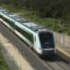 Otorgan contratos por más de 4 mil mdp para el Tren Maya a contratistas ajenos al sector ferroviario: Latinus