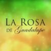 Actor de La Rosa de Guadalupe es captado vendiendo en la calle y denuncia falta de trabajo