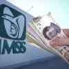 IMSS libera pensiones de por vida para miles de mexicanos tras fallo de la Suprema Corte